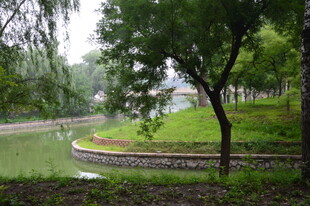 公园风景 