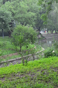 公园风景  