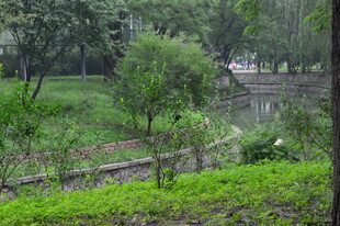 公园风景  