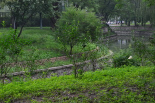 公园风景 