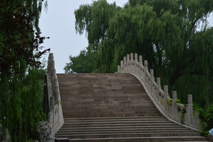 公园风景  