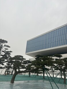 现代悬浮建筑与景观树木