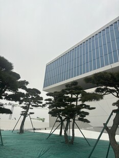 现代建筑前的雅致树木景观