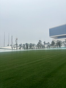 城市中开阔的绿茵草地