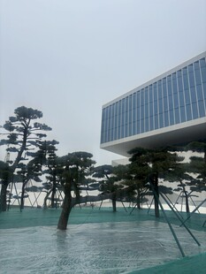 现代建筑与景观树木