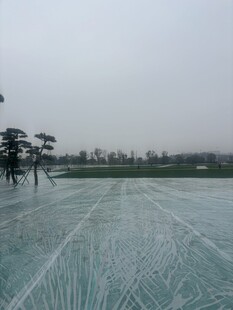 冰封湖面与岸边树木景观