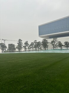 城市中开阔的绿地与现代建筑