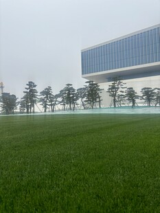 城市旁的翠绿草地与树木