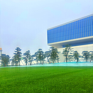 现代建筑旁的绿色草坪