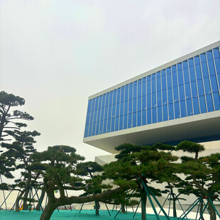 现代建筑与造型松树景观