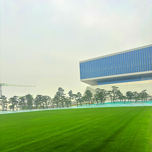 绿茵场上的现代建筑景观