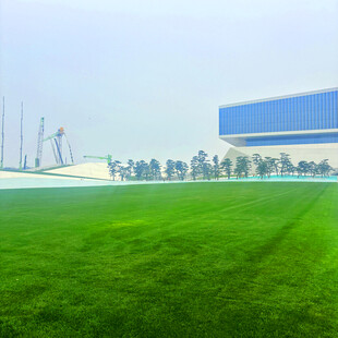 绿茵场地