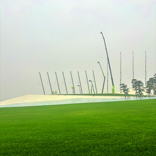 绿茵场上林立的灯杆景观