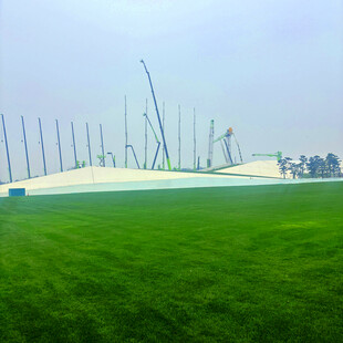 绿茵场地与林立桅杆景观