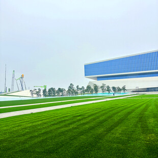 工厂前的翠绿草坪景观