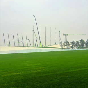 绿色草坪旁的林立建筑