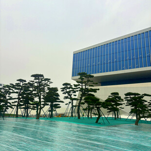 现代建筑旁的整齐绿植景观