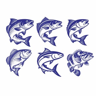 鱼类图案矢量素材