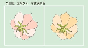 矢量花卉