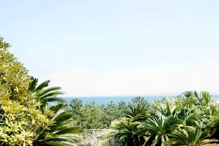 日本热带绿植景观远眺大海