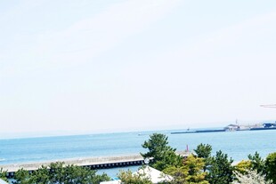 日本海滨风光 绿树与辽阔海面