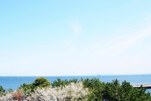 日本海边绿植与蔚蓝天空美景