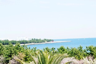 日本海滨绿植景观 清新海景