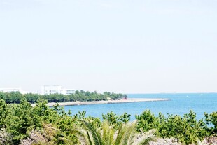 日本海滨绿植景观 清新宜人