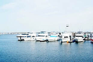 日本宁静港湾中的停泊船只