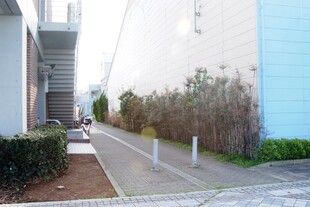 日本城市街道旁的绿植景观
