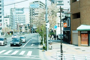 日本城市街道街景