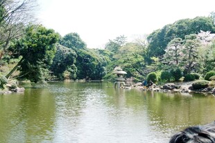 日本宁静河畔的自然景致