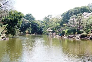 日本宁静河畔的自然景致