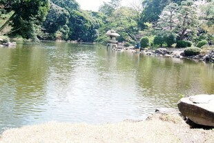 日本宁静湖畔风光