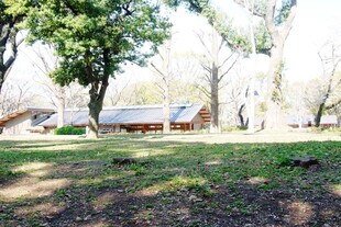 日本林间草地旁的静谧小屋