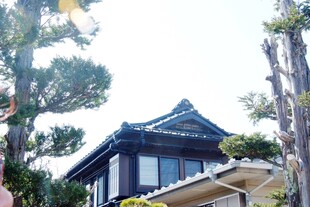 日本日式风格建筑与周边绿植