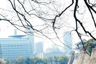 日本城市远景中的建筑与树木