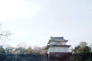日本日式古建筑 掩映于林木间