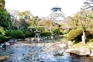 日本日式园林中的潺潺溪流