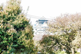 日本林间缆车穿梭于绿意中