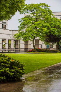 校园雨后校园绿意盎然景观