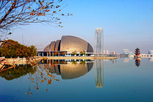 山东聊城