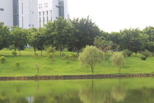 广医湖畔绿意盎然的城市风光