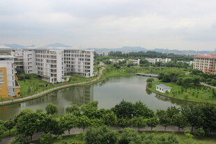 广医河畔楼宇与葱郁绿植景观