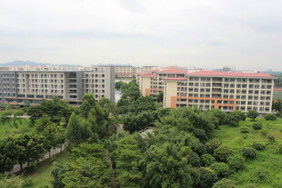 广医校园建筑被绿树环绕