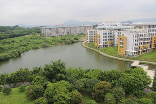 广医湖畔楼宇旁的绿意景致