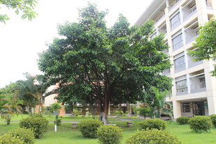 广医校园绿植环绕的建筑景观