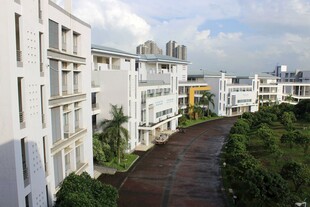 广医住宅区林荫小道景观