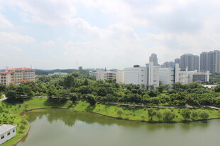 广医城市湖畔风光美景