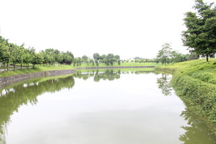 广医宁静河畔风光